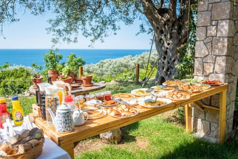 Holiday Park Olive Tree Hotel in Ulcinj