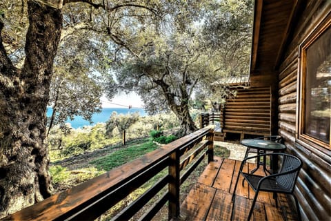 Holiday Park Olive Tree Hotel in Ulcinj