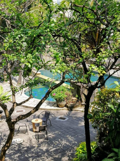 Swimming pool [outdoor]