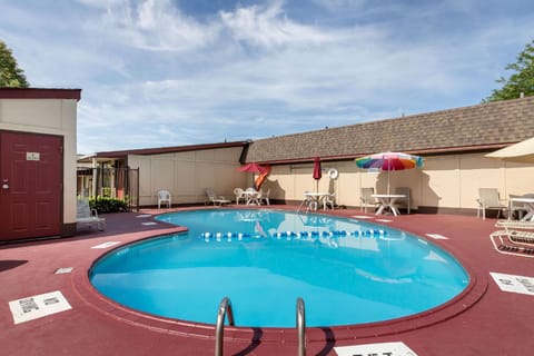 Swimming pool [outdoor]