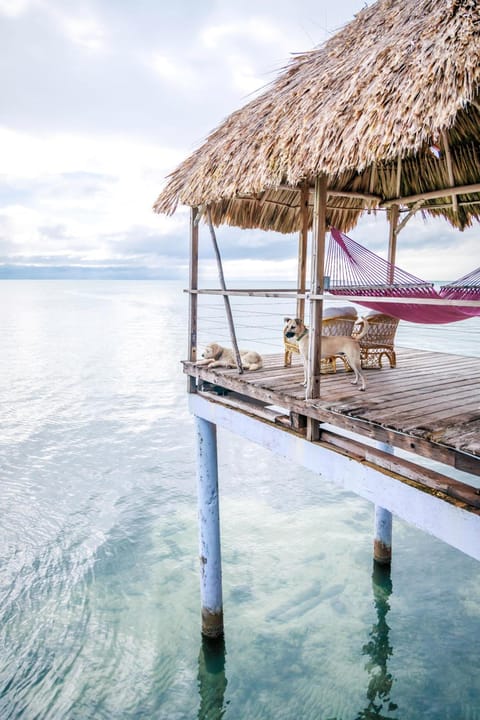 Thatch Caye, a Muy'Ono Resort Hotel in Stann Creek District