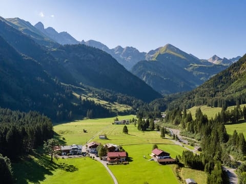 Property view