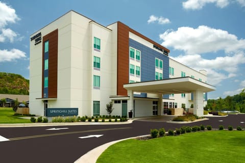 SpringHill Suites by Marriott Ellijay Hotel in East Ellijay