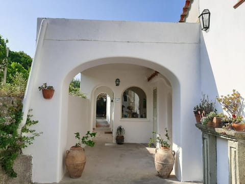 Il Vitigno di Dioniso Hotel in Forio