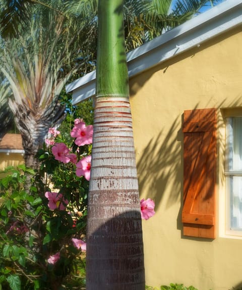 Atlantic Hideaway Inn in Delray Beach