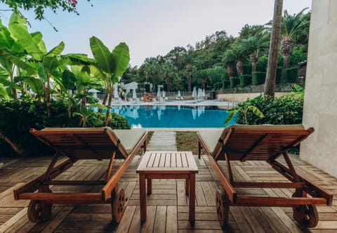 Paloma Pasha Hotel in Aydın Province