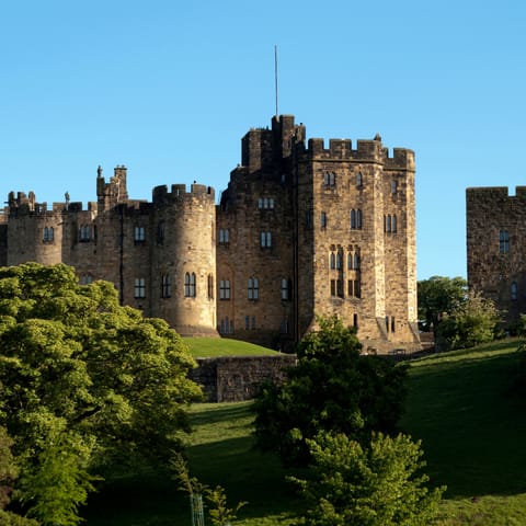 Hairy Lemon Inn in Alnwick