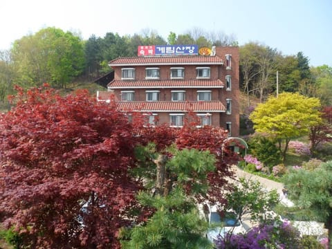 Property view