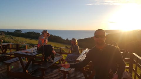 The Wild Farm Backpackers Apartment hotel in Western Cape