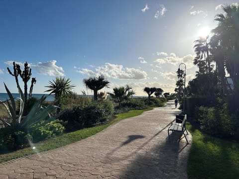 Property view