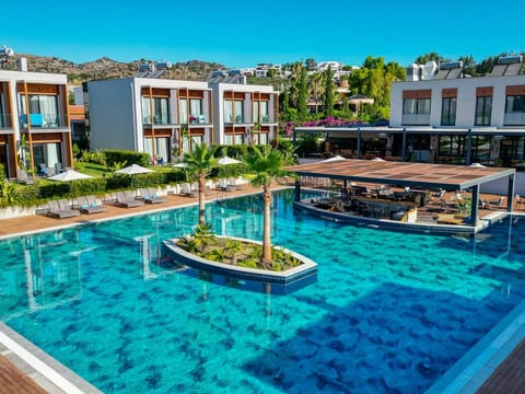 Swimming pool [outdoor]