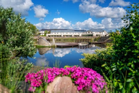Surrounding environment