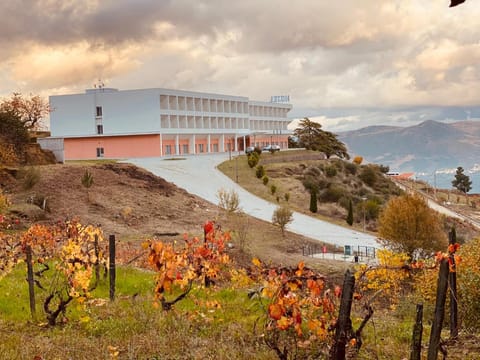 Exterior view