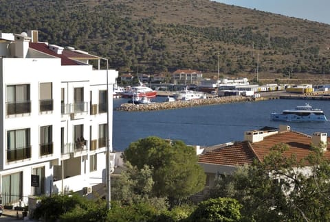 Property view