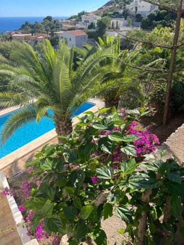 Property view