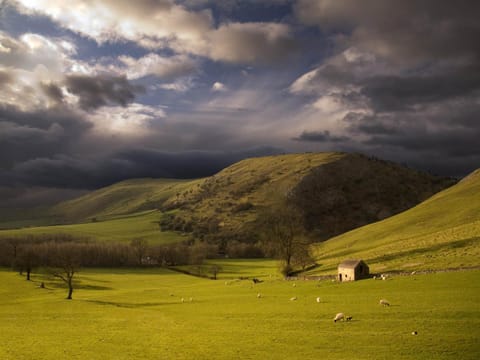 Surrounding environment