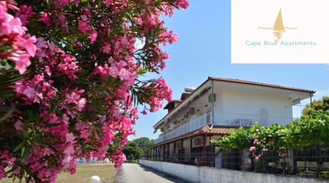 Cape Blue Apartments  Apartment hotel in Pieria, Greece