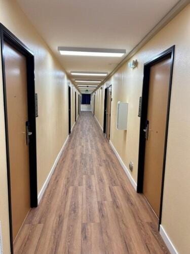 Star Inn Hotel Hotel in Maywood