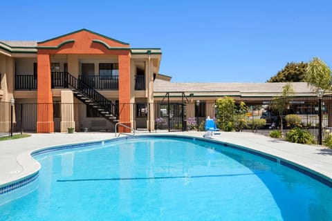 Swimming pool [outdoor]