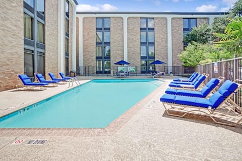 Swimming pool [outdoor]