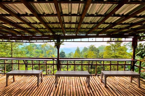 Surrounding environment