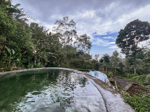 Surrounding environment