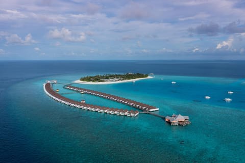 Surrounding environment