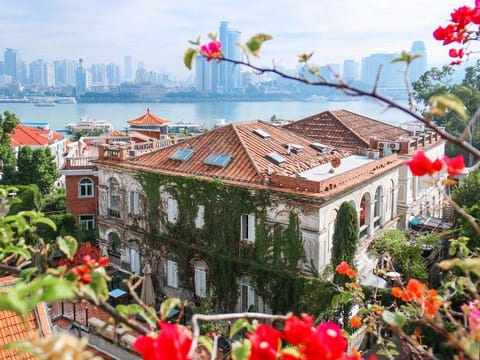Property view