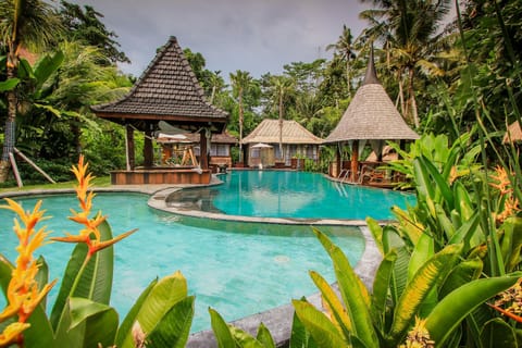 Swimming pool [outdoor]