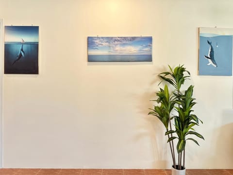 Zimbei Cozytel Khaolak Hostel in Khuekkhak