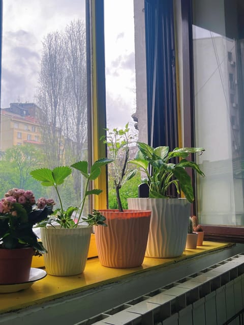 Eleven hostel Hostel in Belgrade