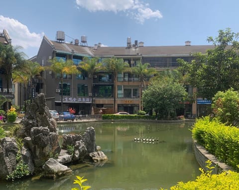 Property view