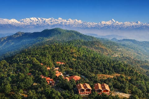 Surrounding environment