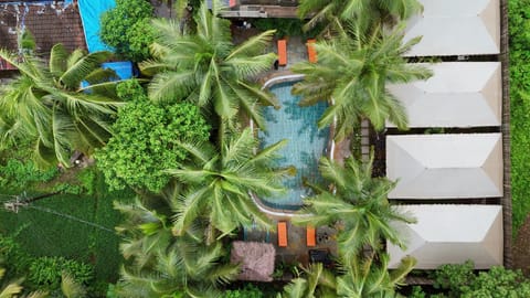 Swimming pool [outdoor]