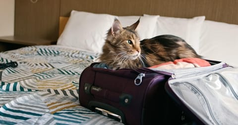 Studio 6  Lincoln, NE - Airport Hotel in Lincoln