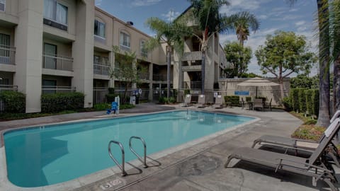 Swimming pool [outdoor]