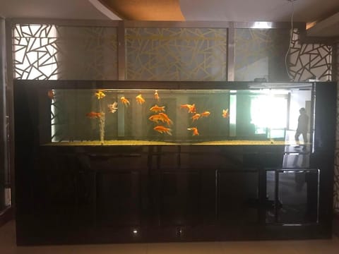 7 Days Premium Baoding Zhuozhou Development Zone Hotel in Beijing