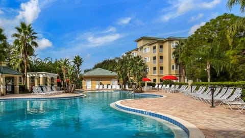 Swimming pool [outdoor]