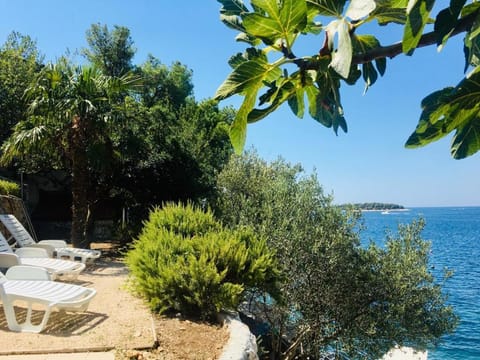 Oasis Premium Twin Apartment hotel in Šibenik-Knin County, Croatia