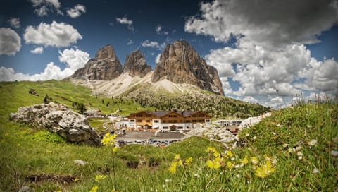 Surrounding environment