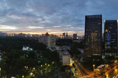 Property view