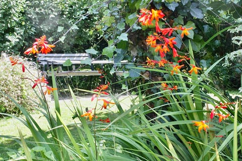 Antonia's Pearls Hotel in Saint Austell