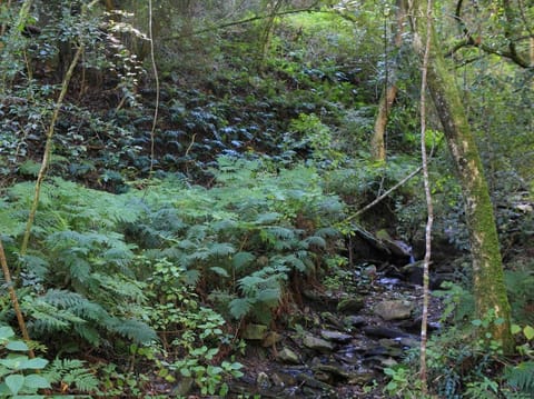 Sports and activities