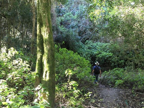 Sports and activities