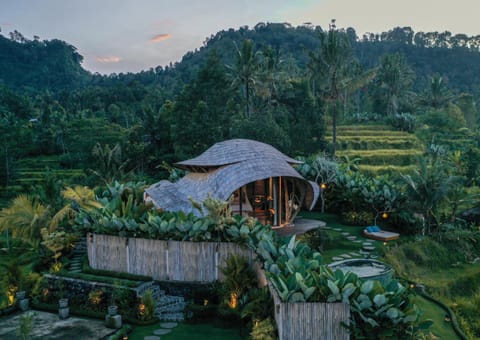 Vishala Retreat Bali Hotel in Sidemen