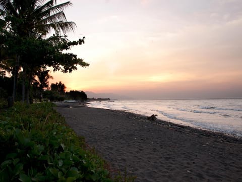 Surrounding environment