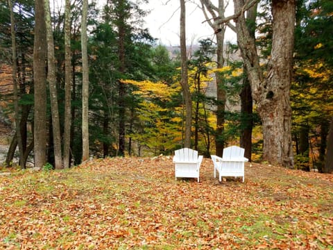 Surrounding environment