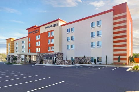 SpringHill Suites by Marriott Locust Grove Hotel in Locust Grove