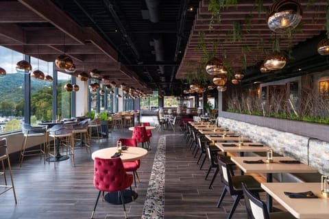 Hotel Indigo Gatlinburg Downtown by IHG Hotel in Gatlinburg