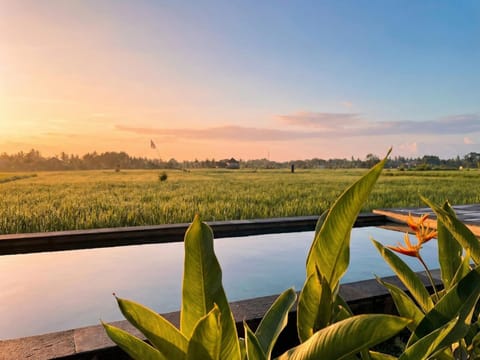 Kalyana Gangga Hotel in Kerambitan